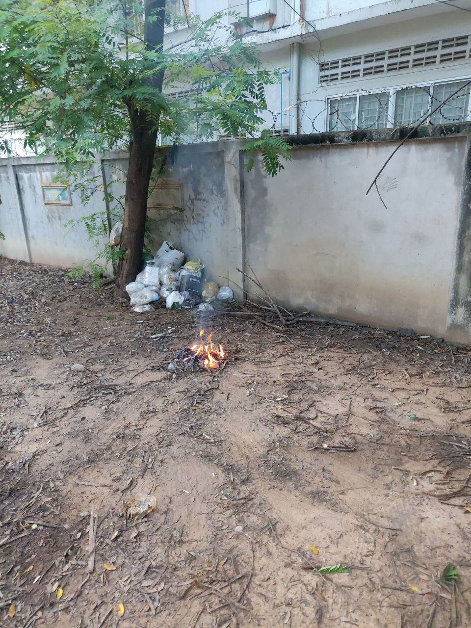 Trash/Leaf Burning report photo