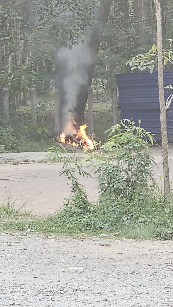 Trash/Leaf Burning report photo