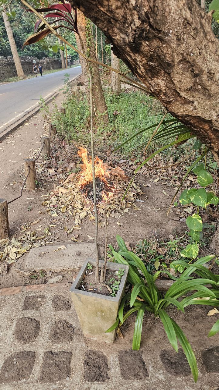 Trash/Leaf Burning report photo